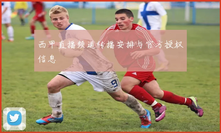 西甲直播频道转播安排与官方授权信息