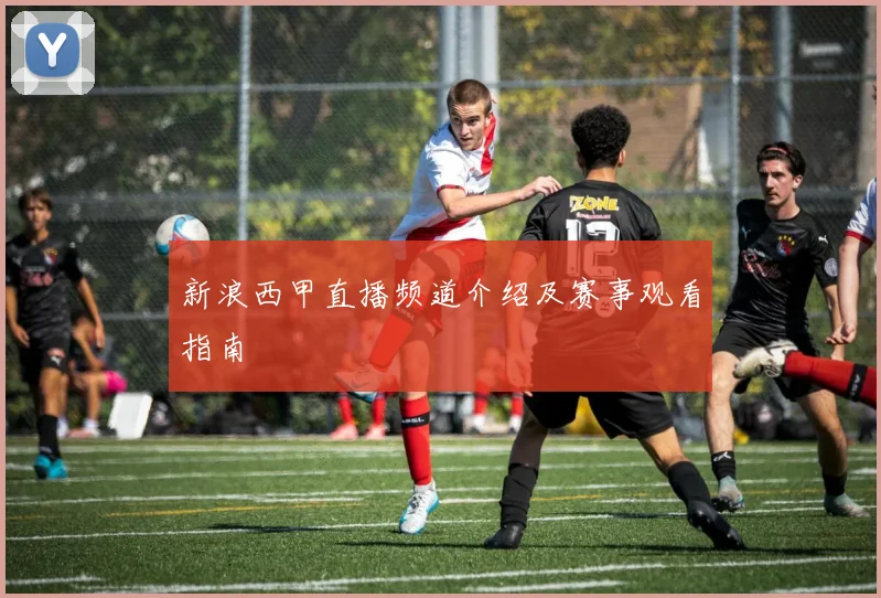 新浪西甲直播频道介绍及赛事观看指南